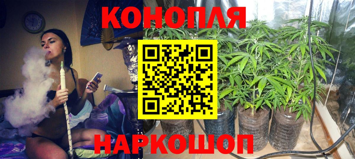 Оренбург  Марихуана марихуана  Конопля тримм  Шишки марихуана Amnesia  Вход с VPN 